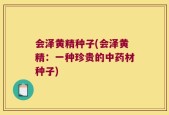 会泽黄精种子(会泽黄精：一种珍贵的中药材种子)