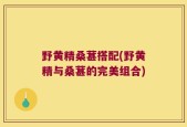 野黄精桑葚搭配(野黄精与桑葚的完美组合)