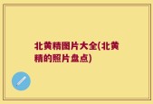 北黄精图片大全(北黄精的照片盘点)