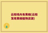 云阳境内有黄精(云阳发现黄精植物资源)