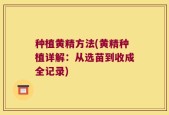 种植黄精方法(黄精种植详解：从选苗到收成全记录)
