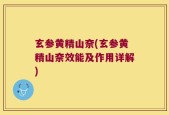玄参黄精山奈(玄参黄精山奈效能及作用详解)