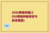 2020黄精种植(2020黄精种植现状与前景展望)
