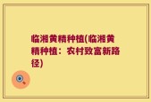 临湘黄精种植(临湘黄精种植：农村致富新路径)
