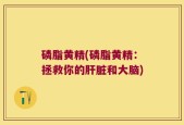 磷脂黄精(磷脂黄精：拯救你的肝脏和大脑)
