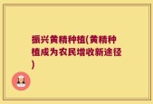 振兴黄精种植(黄精种植成为农民增收新途径)