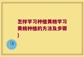怎样学习种植黄精学习黄精种植的方法及步骤)