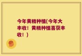 今年黄精种植(今年大丰收！黄精种植喜获丰收！)