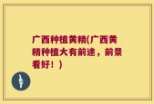 广西种植黄精(广西黄精种植大有前途，前景看好！)
