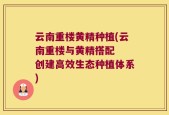 云南重楼黄精种植(云南重楼与黄精搭配  创建高效生态种植体系)