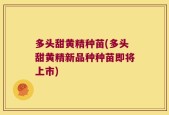 多头甜黄精种苗(多头甜黄精新品种种苗即将上市)