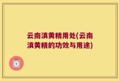 云南滇黄精用处(云南滇黄精的功效与用途)
