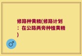 修路种黄精(修路计划：在公路两旁种植黄精)