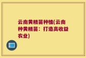 云南黄精苗种植(云南种黄精苗：打造高收益农业)