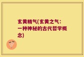 玄黄精气(玄黄之气：一种神秘的古代哲学概念)