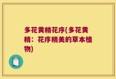多花黄精花序(多花黄精：花序精美的草本植物)