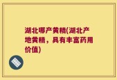 湖北哪产黄精(湖北产地黄精，具有丰富药用价值)