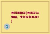 姜形黄精花(姜黄花与黄精，生长有何异同？)
