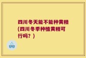 四川冬天能不能种黄精(四川冬季种植黄精可行吗？)