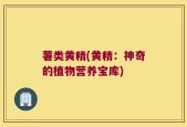 薯类黄精(黄精：神奇的植物营养宝库)
