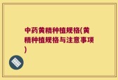 中药黄精种植规格(黄精种植规格与注意事项)