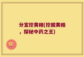 分宜挖黄精(挖掘黄精，探秘中药之王)