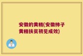 安徽的黄精(安徽柿子黄精扶贫初见成效)