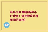 新晃小叶黄精(新晃小叶黄精：探寻神奇药用植物的奥秘)