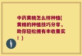 中药黄精怎么样种植(黄精的种植技巧分享，助你轻松拥有丰收果实！)