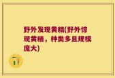 野外发现黄精(野外惊现黄精，种类多且规模庞大)
