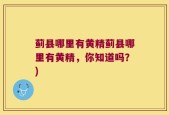 蓟县哪里有黄精蓟县哪里有黄精，你知道吗？)
