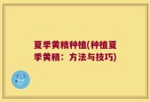 夏季黄精种植(种植夏季黄精：方法与技巧)