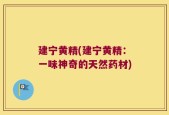 建宁黄精(建宁黄精：一味神奇的天然药材)