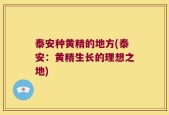 泰安种黄精的地方(泰安：黄精生长的理想之地)