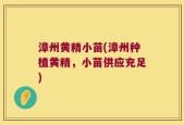 漳州黄精小苗(漳州种植黄精，小苗供应充足)