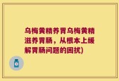 乌梅黄精养胃乌梅黄精滋养胃肠，从根本上缓解胃肠问题的困扰)