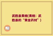 武胜县黄精(黄精：武胜县的“黄金药材”)