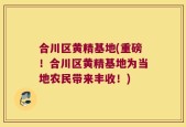 合川区黄精基地(重磅！合川区黄精基地为当地农民带来丰收！)