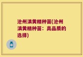 沧州滇黄精种苗(沧州滇黄精种苗：高品质的选择)
