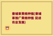 柬埔寨黄精种植(柬埔寨推广黄精种植 促进农业发展)