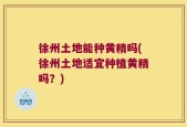 徐州土地能种黄精吗(徐州土地适宜种植黄精吗？)