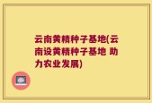 云南黄精种子基地(云南设黄精种子基地 助力农业发展)