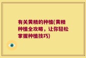 有关黄精的种植(黄精种植全攻略，让你轻松掌握种植技巧)