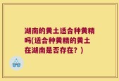 湖南的黄土适合种黄精吗(适合种黄精的黄土在湖南是否存在？)