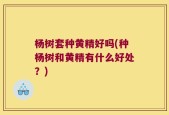 杨树套种黄精好吗(种杨树和黄精有什么好处？)