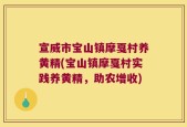宣威市宝山镇摩戛村养黄精(宝山镇摩戛村实践养黄精，助农增收)