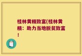 桂林黄精致富(桂林黄精：助力当地脱贫致富！