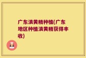 广东滇黄精种植(广东地区种植滇黄精获得丰收)