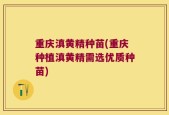 重庆滇黄精种苗(重庆种植滇黄精需选优质种苗)