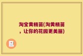 淘宝黄精苗(淘黄精苗，让你的花园更美丽)